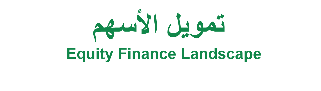 تمويل الأسهم